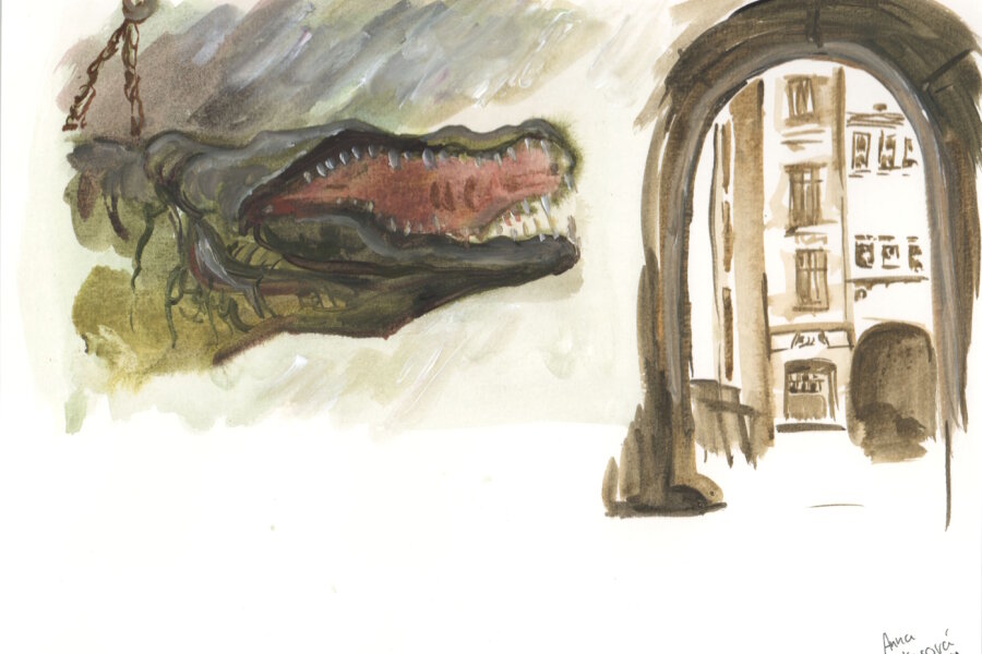 Anna Lokosová, 3. ročník 